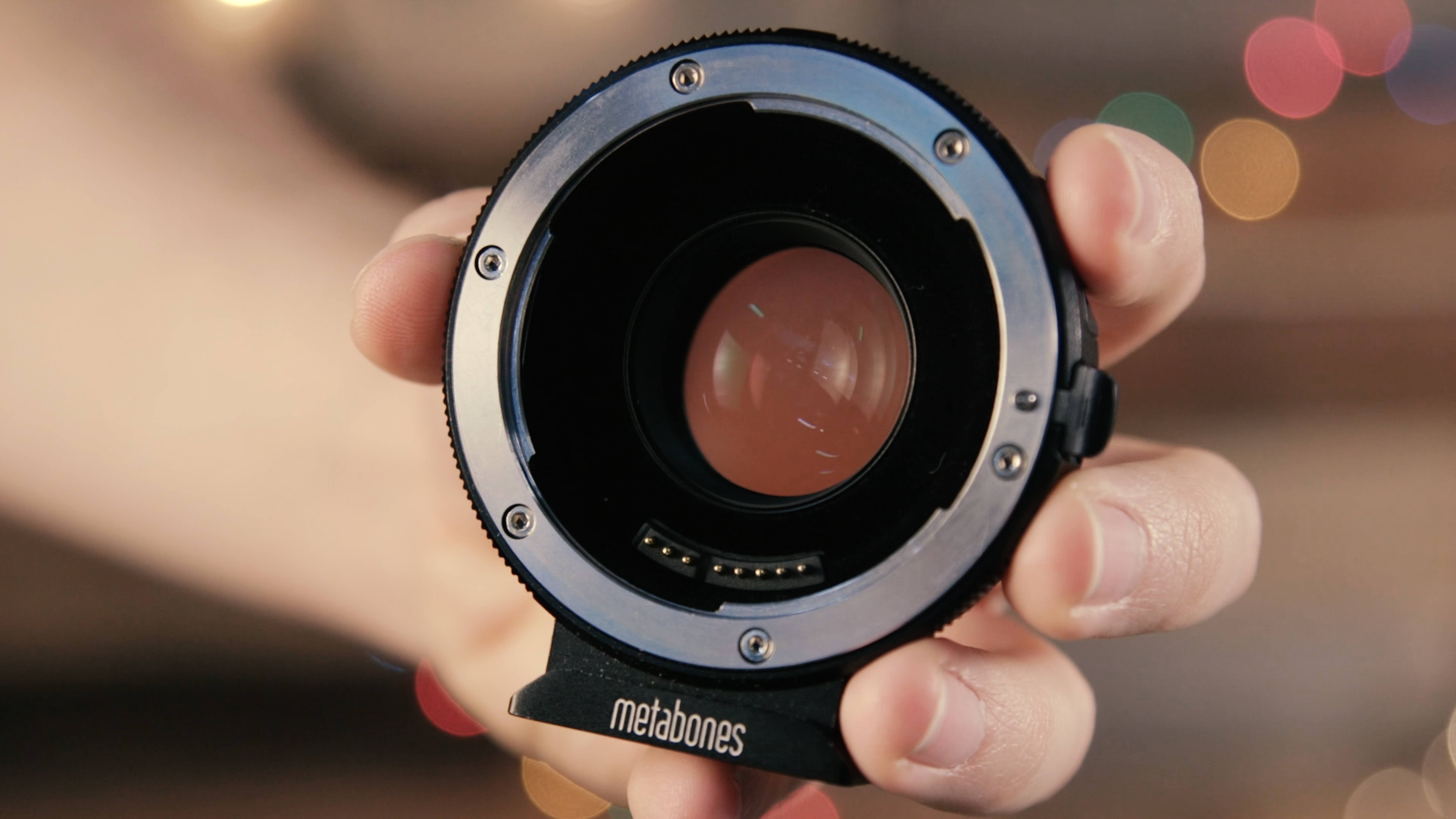 Metabones nedir?